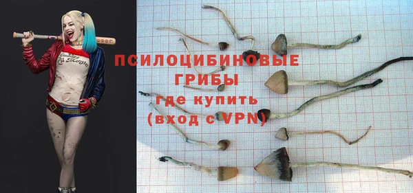 ALPHA PVP Алзамай